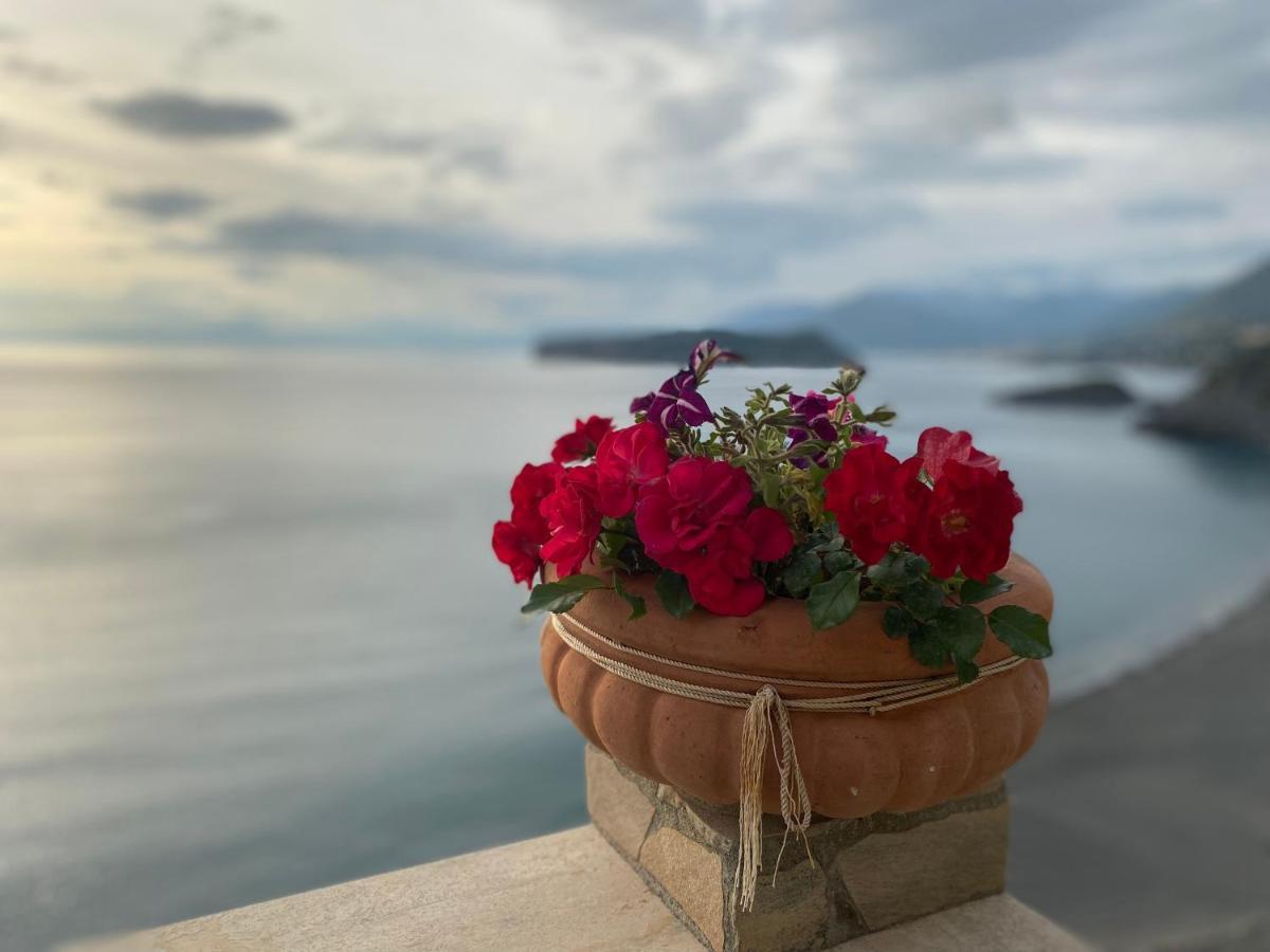 B&B Villa La Petra San Nicola Arcella Exterior foto