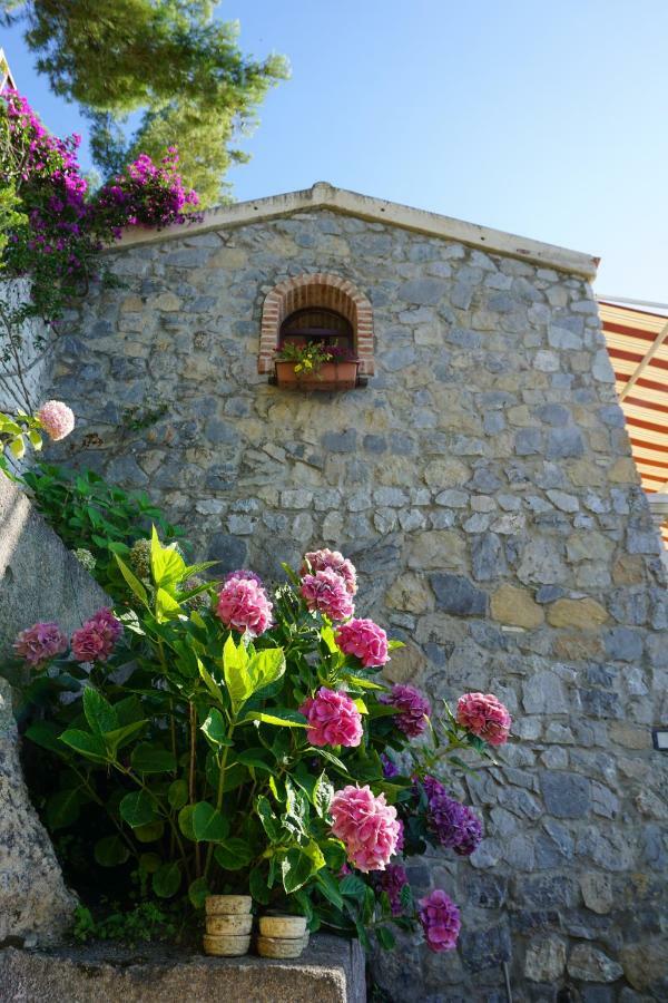 B&B Villa La Petra San Nicola Arcella Exterior foto